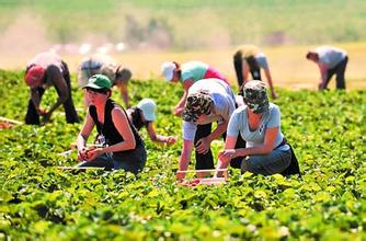 农业管家APP开发 农产品的社交圈