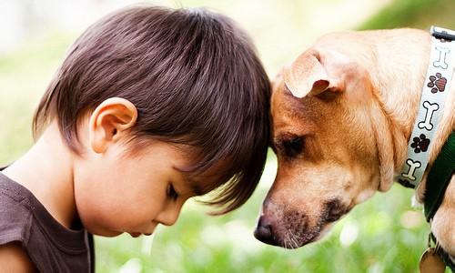 宠物翻译app开发 秒懂宠物心声