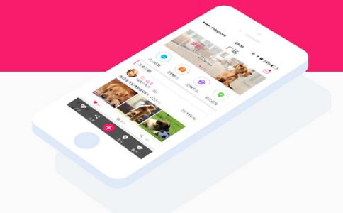 宠物社交app开发进行营销方法