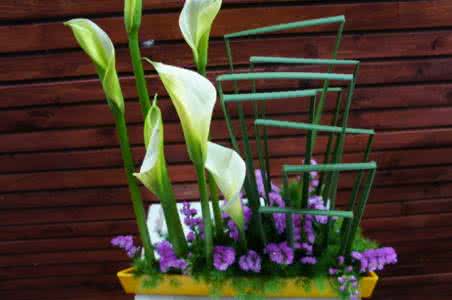 花艺教学app开发 助你变成花田匠人