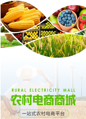 农村电商软件开发破局关键是什么