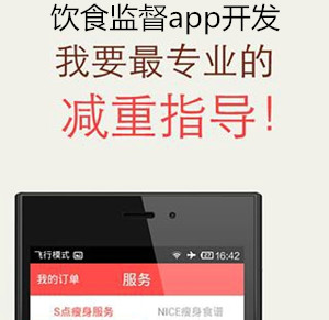 饮食监督app开发 帮你快点瘦回来