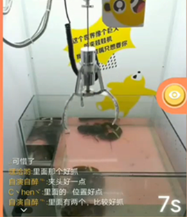 抓龙虾APP开发 跑不掉的小龙虾