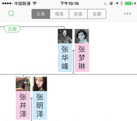 家谱APP开发市场发展空间分析