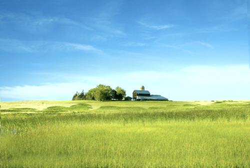 线上农场APP开发 满足城市人回归田园追求