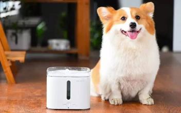 宠物智能饮水机APP开发 养宠界的黑科技