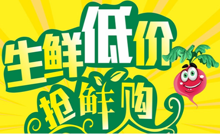 净菜配送APP开发为何在中国水土不服