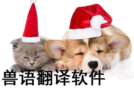兽语翻译器app开发 和动物交流无障碍