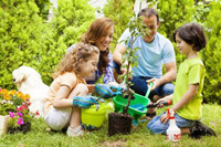 植树APP开发 开启植树新世界