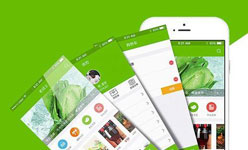 为何最近生鲜配送软件开发火了