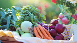 生鲜电商APP开发突围战怎么打