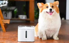 宠物饮水机APP开发 养宠的好福利