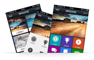 广州微网站建设公司