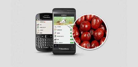 生鲜行业手机软件开发功能