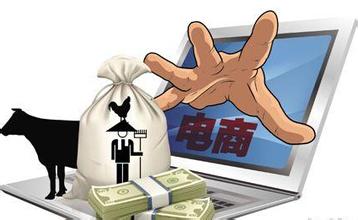 农村电商APP软件开发