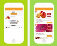 生鲜水果APP开发运营模式分析