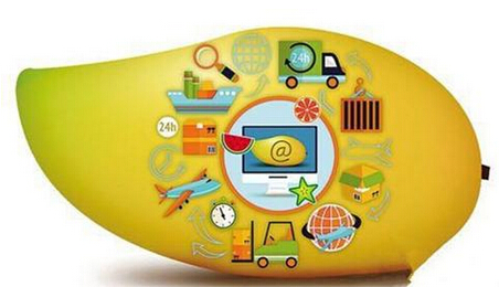 天天果园生鲜APP软件的90%销量来自移动端