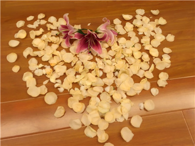 广州APP开发公司91直播
员工五月生日会