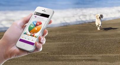 宠物社区APP开发