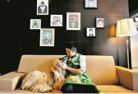 宠物医院app开发 给宠物更好地照料 