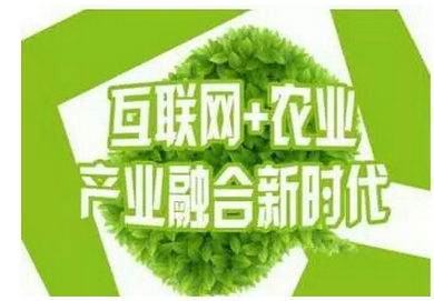 生态农业APP开发为农业迎来了暖春