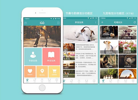 宠物管理APP开发的三大见解