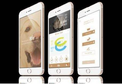 宠物医疗app软件开发是一座大金矿 