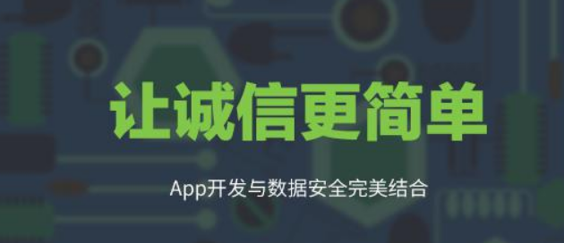 诚信数据库软件开发