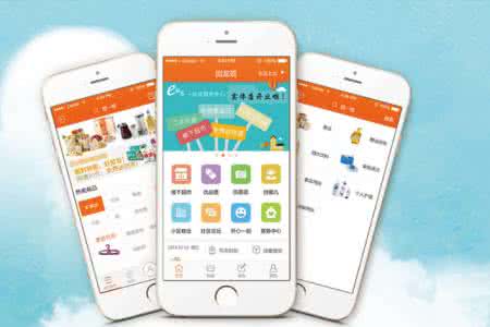 垂直电商app开发