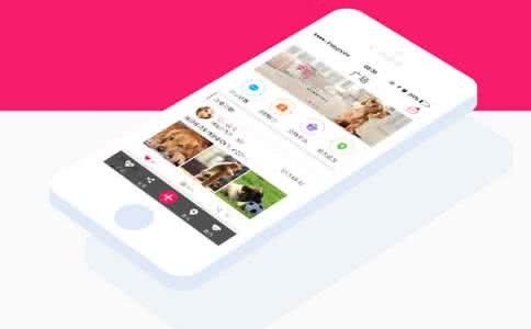 宠物食品电商软件开发