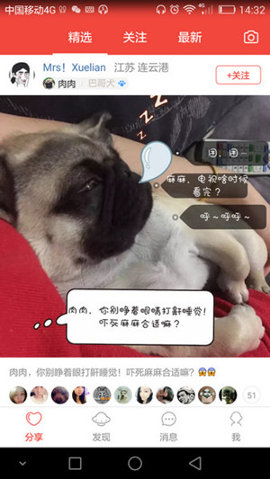 宠物市场app软件开发