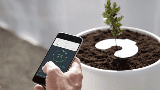 土壤监测APP开发