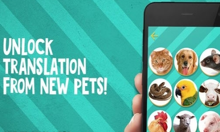 动物交流APP开发