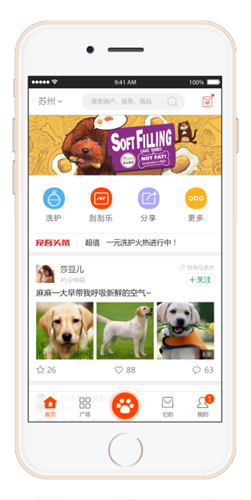 记录猫咪成长的app