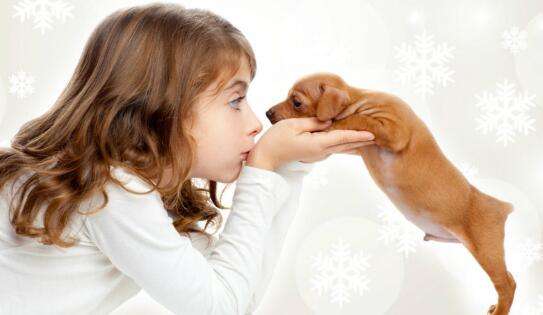 宠物行业APP开发