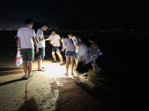 广州APP开发公司情人岛浪漫之旅