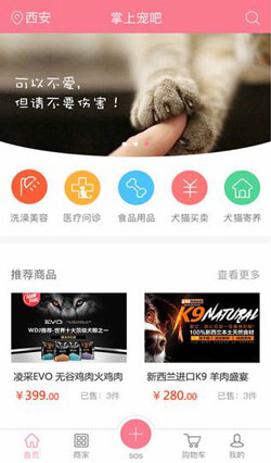 掌上宠物APP开发