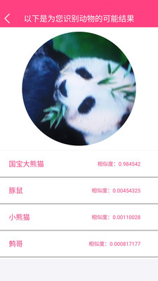 拍照识物APP开发