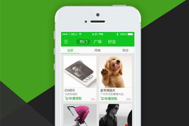 宠物打车软件开发