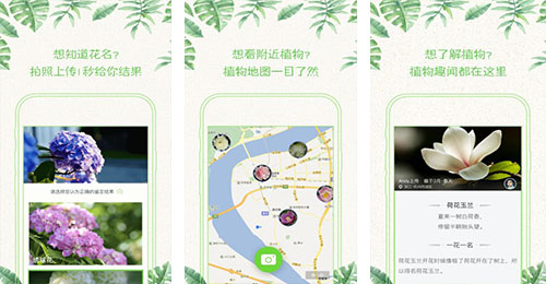 拍照识花APP开发