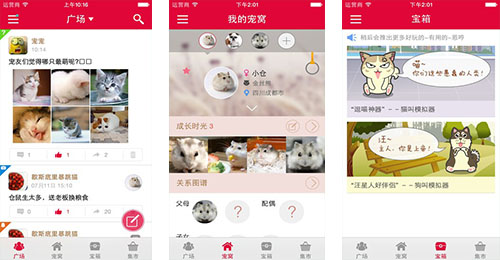 宠物垂直电商APP开发