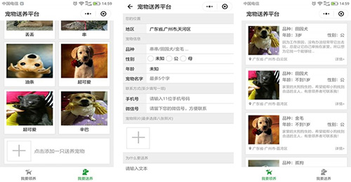 宠物托养软件开发