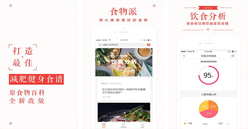 食物识别APP开发