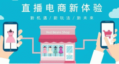 开发直播电商手机应用有哪些亮点