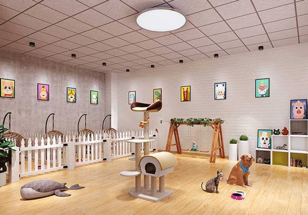 宠物服务APP开发 建立闭环平台-广州app外包定制公司91直播
