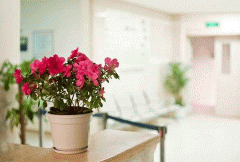 开发养花app软件定制满足园艺爱好者需求