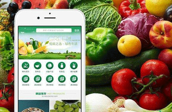 生鲜配送app开发让用户爱不释手-广州app外包公司91直播
