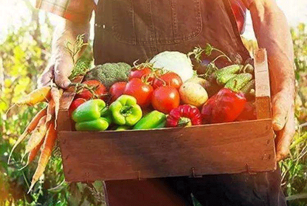 定制开发生鲜服务APP如何提高质量--专业app开发公司91直播
