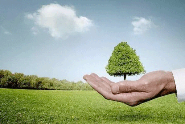 环境资讯app开发 记录发展历程--专业制作app软件91直播
