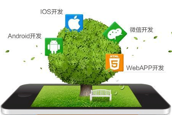 APP软件开发有什么需要调整的地方--app开发公司91直播
